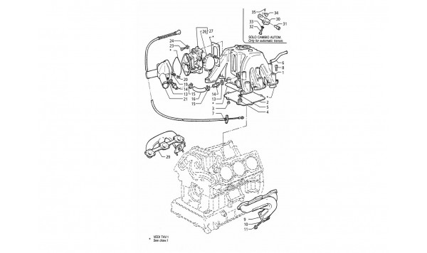 INTAKE AND EXHAUST MANIFOLD - THROTTLE VALVE BODY