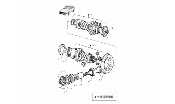 DIFFERENTIAL - INTERNAL PARTS