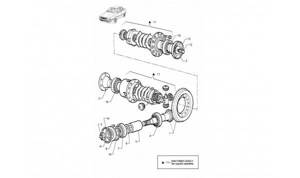 DIFFERENTIAL - INTERNAL PARTS